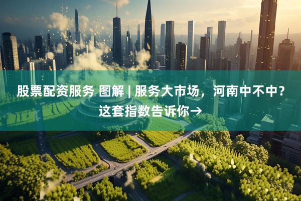 股票配资服务 图解 | 服务大市场，河南中不中？这套指数告诉你→