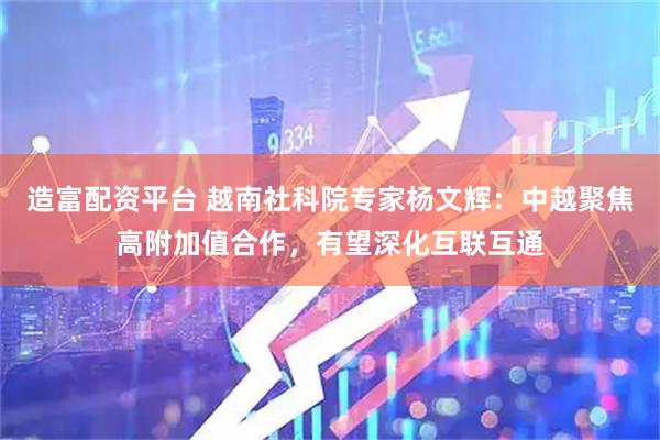 造富配资平台 越南社科院专家杨文辉：中越聚焦高附加值合作，有望深化互联互通