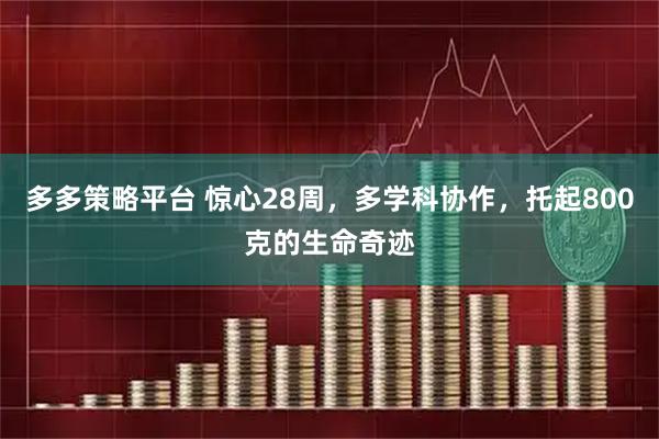 多多策略平台 惊心28周，多学科协作，托起800克的生命奇迹